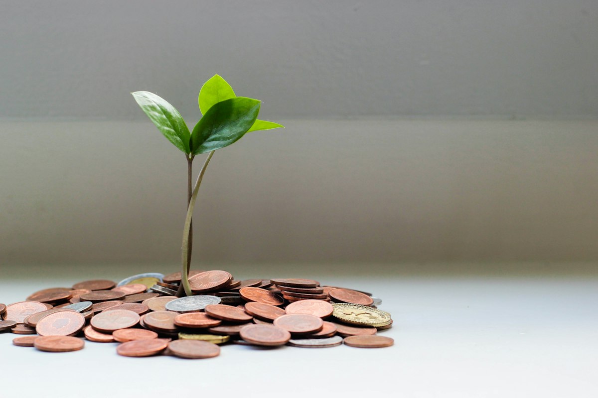 Stacks of coins increasing in height on a table, suggesting gradual savings growth